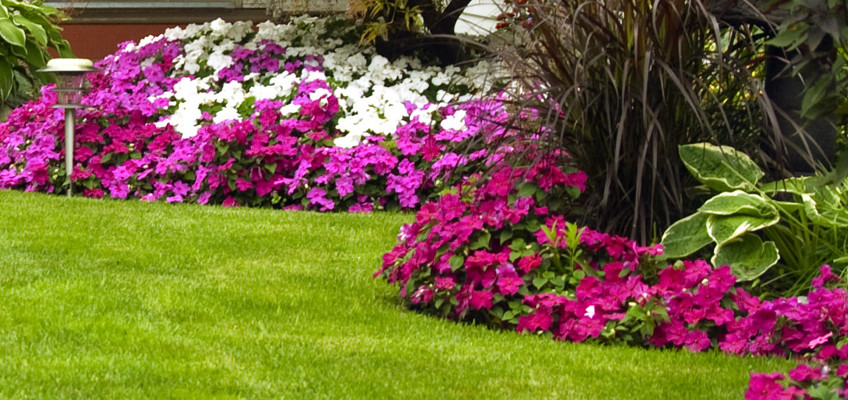 Landscaping with vibrant flower beds and trimmed grass