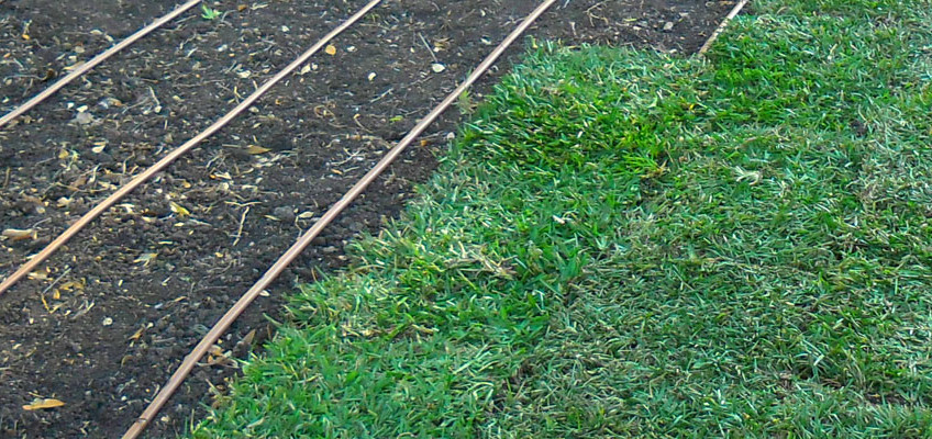 foundation drip irrigation,